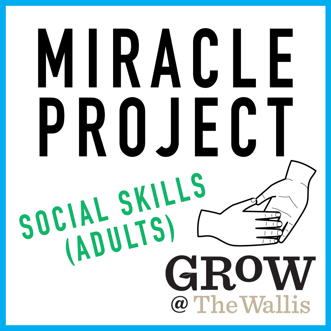 Miracle Project: Social Skills (Adults)