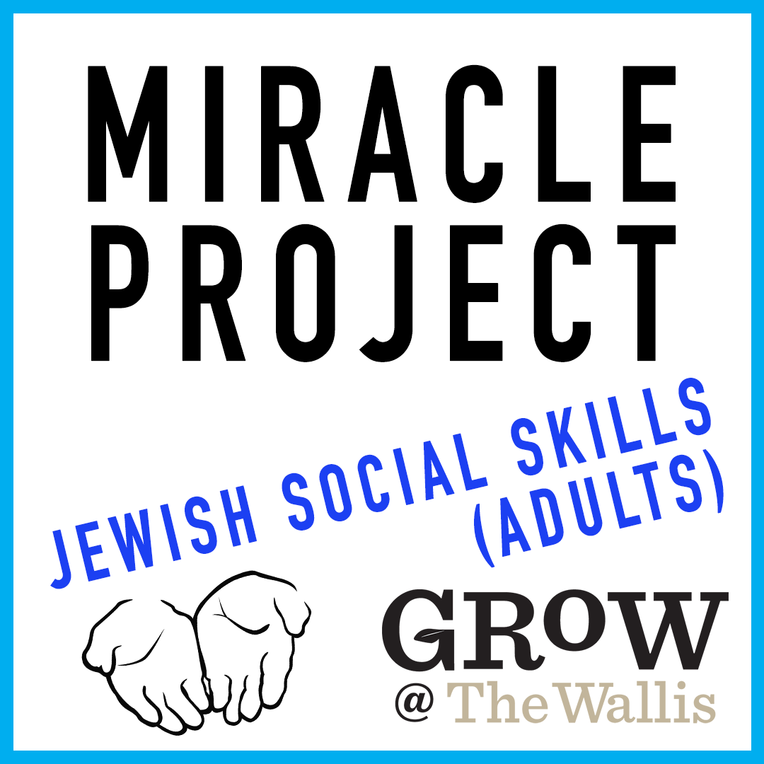 Miracle Project: Jewish Social Skills (Adults)