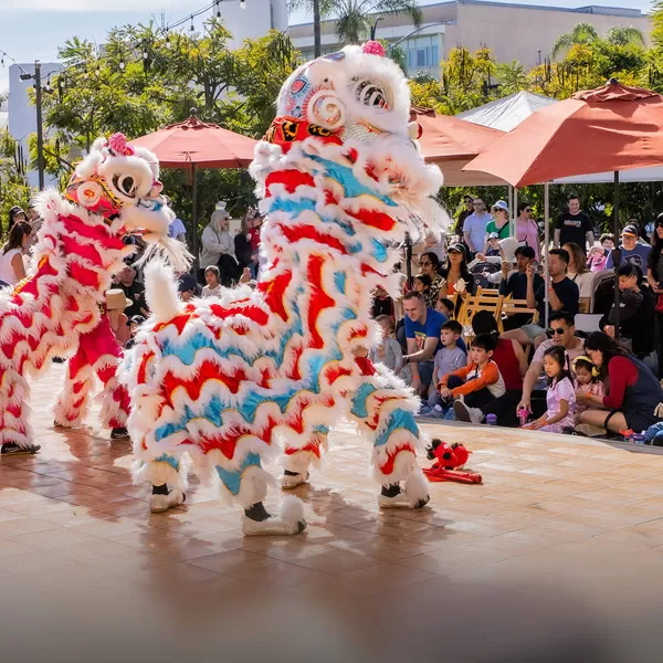 FAMILY FEST | LUNAR NEW YEAR